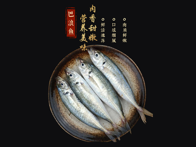 冰鮮巴浪魚(yú)